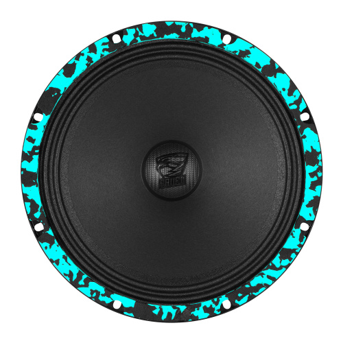Среднечастотная акустика (Мидбасс). Акустическая система DL AUDIO RAVEN 200 V.3. Цена от – 7&nbsp;990 руб. фото 3