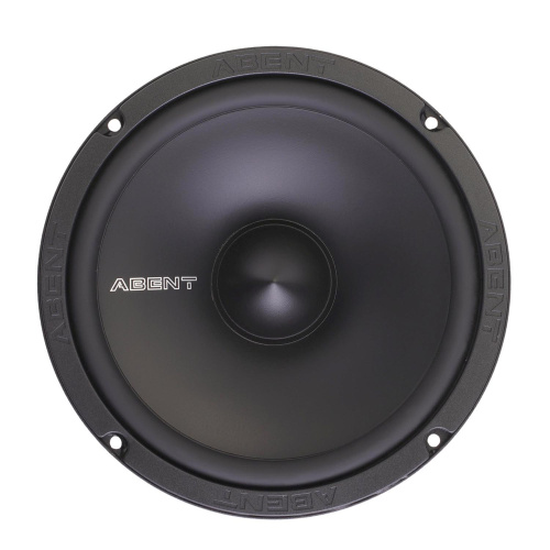 2 компонентная акустика. Акустическая система ABENT ASR-16S. Цена от – 6&nbsp;740 руб. фото 5
