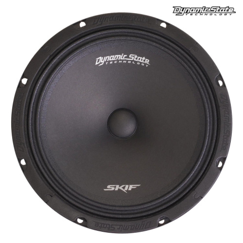Среднечастотная акустика (Мидбасс). Акустическая система DYNAMIC STATE SKIF SKM-20L. Цена от – 4 850 руб. фото 6
