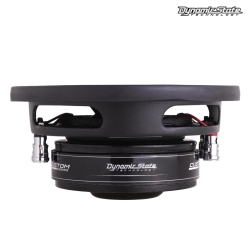 Сабвуфер DYNAMIC STATE CUSTOM CSW-S16. Цена – 3 940 руб. фото 4