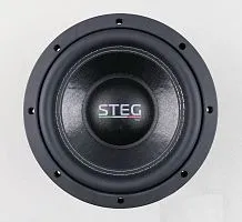 *Сабвуфер STEG S8. Цена – 14 290 руб.
