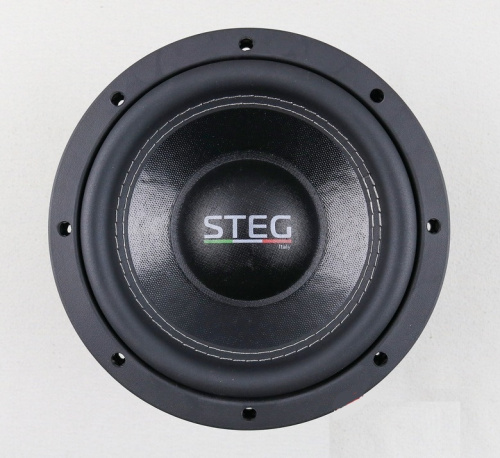 Сабвуфер STEG S8. Цена – 14 290 руб.