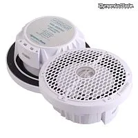 Акустика для яхт и катеров . Акустическая система DYNAMIC STATE NAUTICA NS-200W. Цена от – 11&nbsp;190 руб.