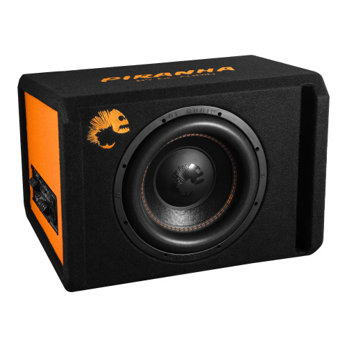 Сабвуфер DL AUDIO PIRANHA 12A BLACK 2.1 V.2 12V/220V. Цена – 24&nbsp;990 руб.