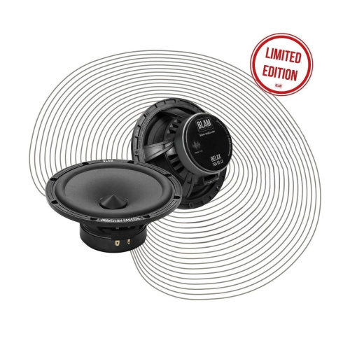 Низкочастотная акустика. Акустическая система BLAM W165R2 LE. Цена от – 15 990 руб.