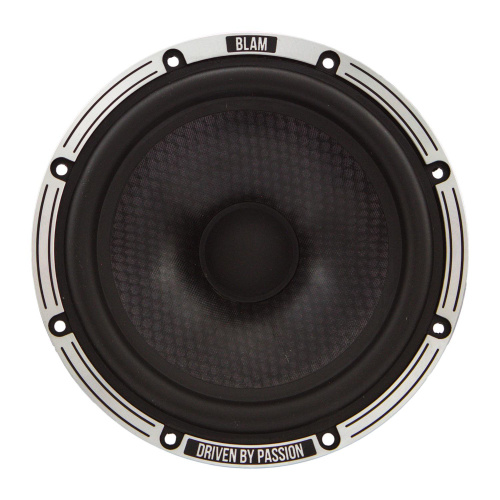 Низкочастотная акустика. Акустическая система BLAM LW165A. Цена от – 35 990 руб. фото 4