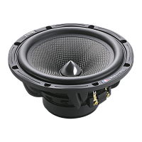 Низкочастотная акустика. Акустическая система BLAM WS680PLUS. Цена от – 63 990 руб.