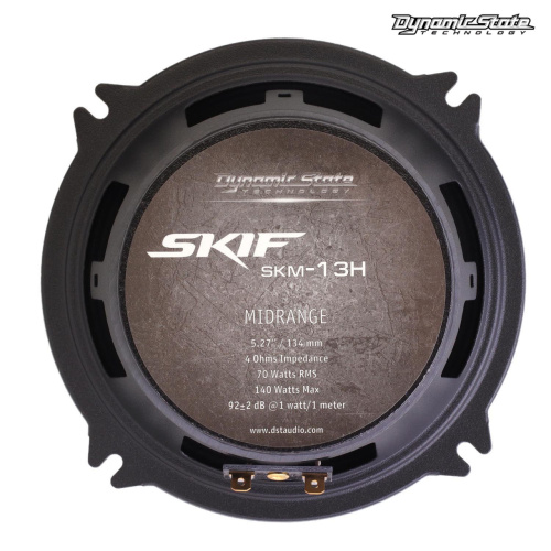 Среднечастотная акустика (Мидбасс). Акустическая система DYNAMIC STATE SKIF SKM-13H. Цена от – 3 090 руб. фото 4