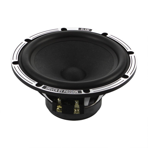 2 компонентная акустика. Акустическая система BLAM 165 LSQ ACT. Цена от – 43&nbsp;990 руб. фото 3