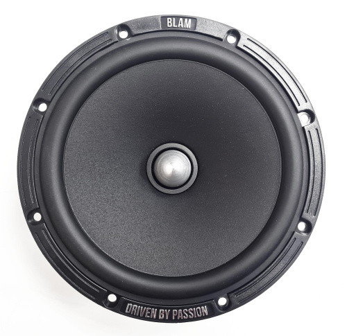 2 компонентная акустика. Акустическая система BLAM 165 R2X. Цена от – 27 990 руб. фото 4 2 компонентная акустика. Акустическая система BLAM 165 R2X. Цена от – 27 990 руб. фото 4