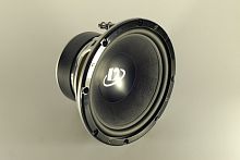 Сабвуфер DEGO SB-10 P-MK3. Цена – 69 890 руб.