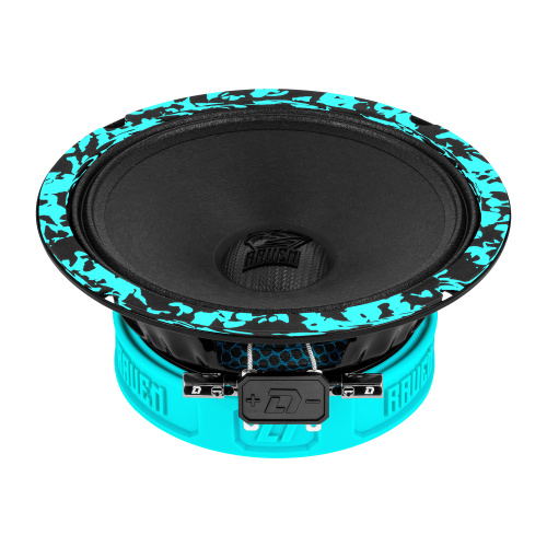 Среднечастотная акустика (Мидбасс). Акустическая система DL AUDIO RAVEN 165 V.3. Цена от – 6&nbsp;590 руб.